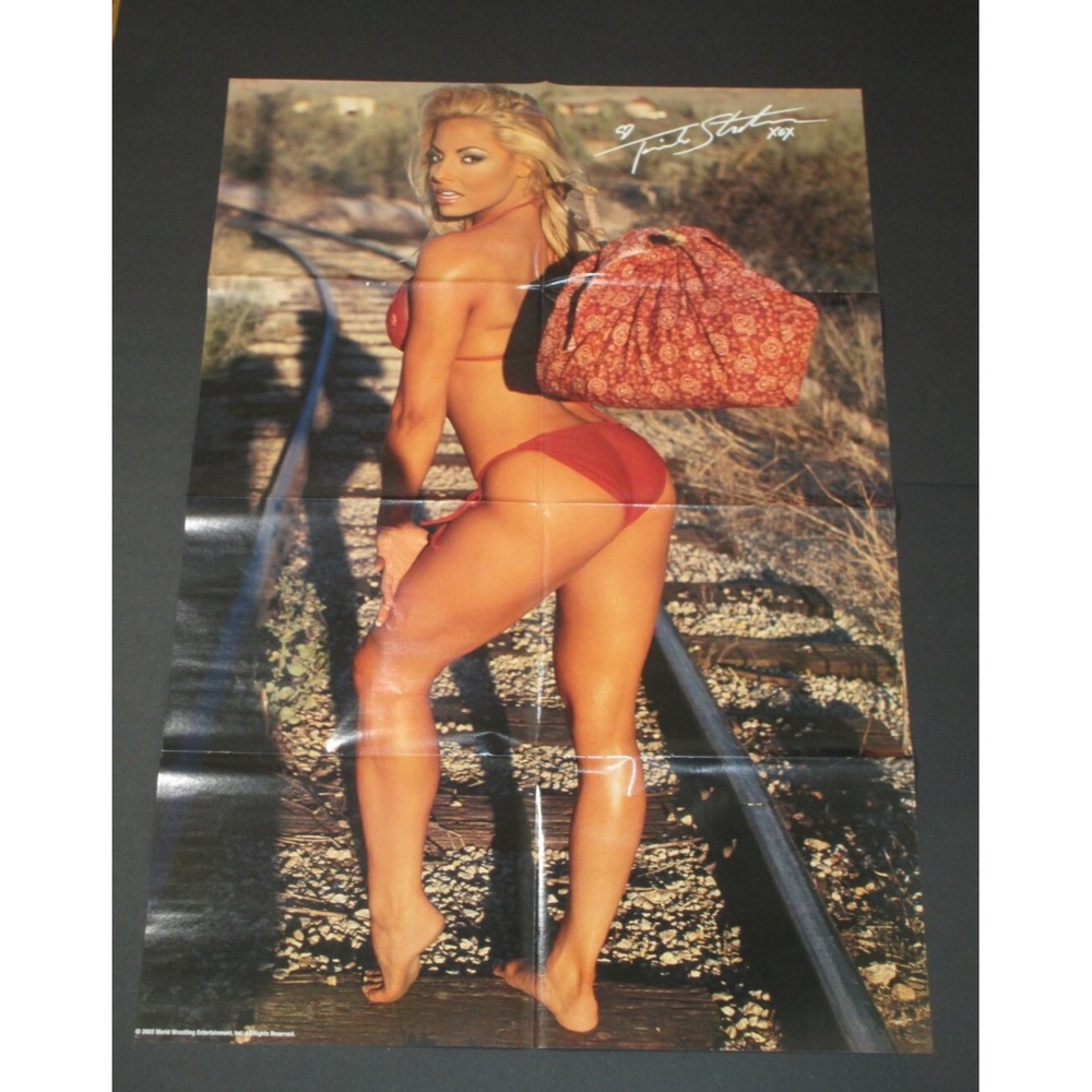 VTG 2003 WWE Trish Stratus/Brock Lesnar Double Sided Poster